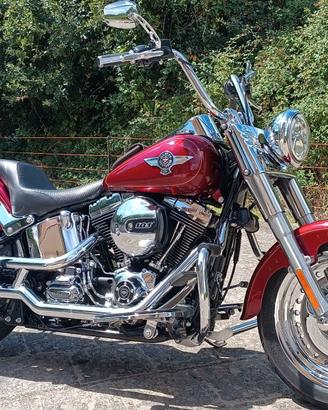 Harley davidson fat boy
