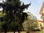 Immagine 21