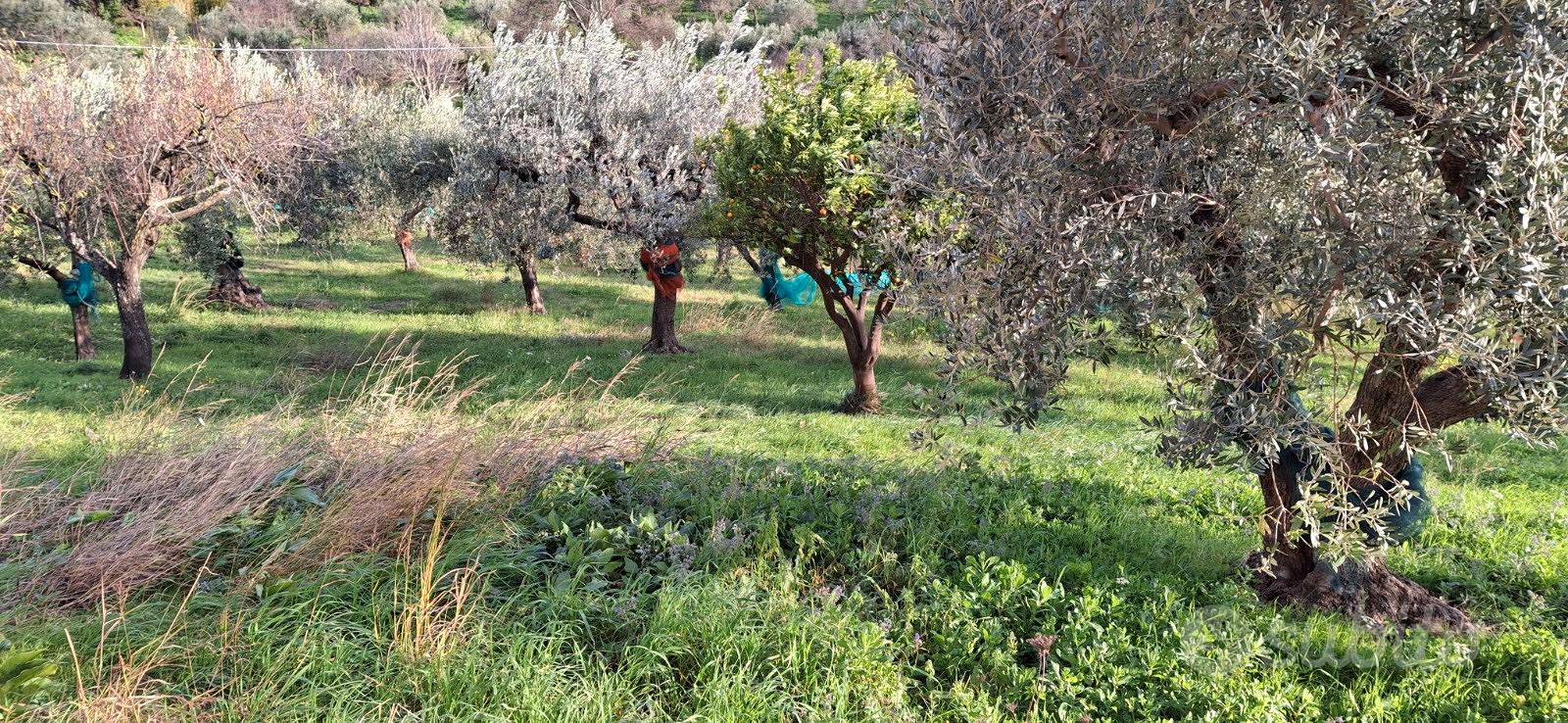 Casa – SA - Altro