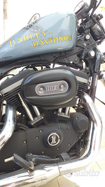 Harley-Davidson Sportster 883 Iron