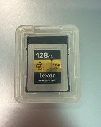 Scheda di memoria Lexar Professional Type B 128 GB