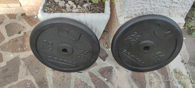 2 dischi ghisa 20 kg l uno pesi Domyos palestra 