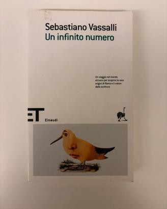 "Un infinito numero" di Sebastiano Vassalli