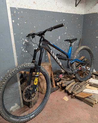 canyon torque 2019