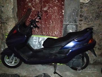 scooter Majestic DX