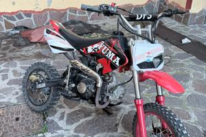 Pit bike 125 4t