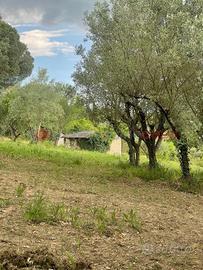 Casa Indipendente Anagni [Cod. rif 3149102VRG]