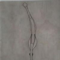 Chaetognata - Fauna d'Italia vol. XXXIV