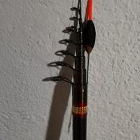 canna da pesca trota