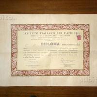 Antico diploma istituto coloniale italiano