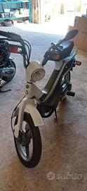 Piaggio Grillo 50