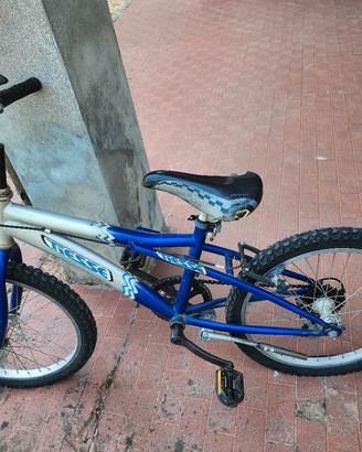 bici da bambino 