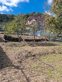 Terreno agricolo Via Loreto (Carasco)