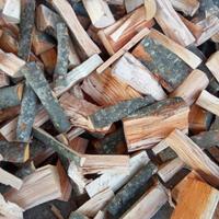 Legna da ardere secca 