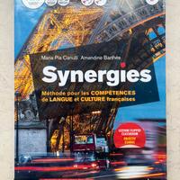 Libro Synergies 2  Di francese