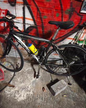 bici da corsa nsr