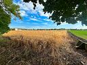 terreno-agricolo-con-canaletta
