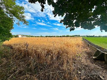Terreno agricolo con canaletta