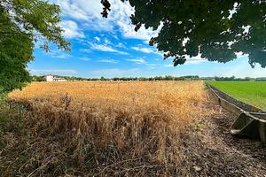 Terreno agricolo con canaletta