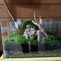 terrario