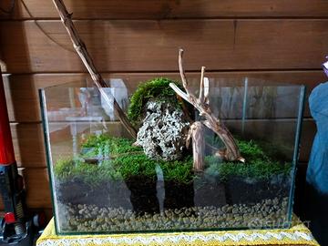 terrario