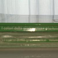 libri scuola media  "i colori della grammatica"