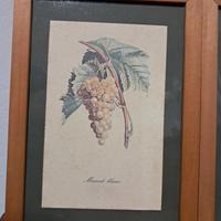 Set di quadri con stampe a tema frutta