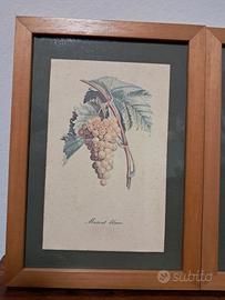 Set di quadri con stampe a tema frutta