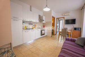 BILOCALE AL PIANO TERRA CON CORTE PAVIMENTATA