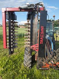 Prepotatrice tanesini