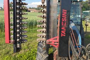 Prepotatrice tanesini