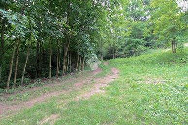 TER. AGRICOLO A OSNAGO