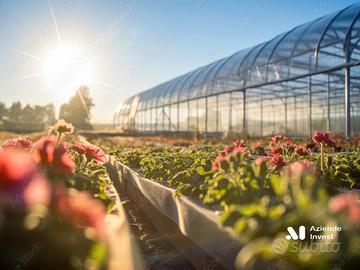 Azienda Florovivaistica - Garden - ID.11739