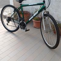Bici da 26
