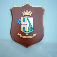 crest 45° fanteria "Arborea"
