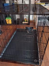 Gabbia per cani