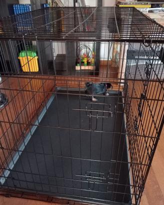 Gabbia per cani