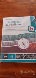 libro il buon uso dell' italiano