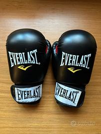 guanti da boxe everlast