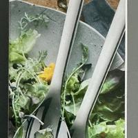 Posate insalata