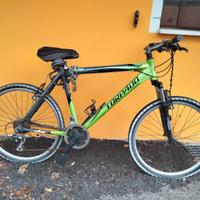 Mountain bike