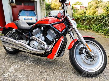 Harley-Davidson V-Rod - 2004