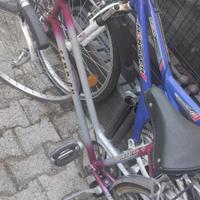 2 biciclette: Mountain Bike + city bike