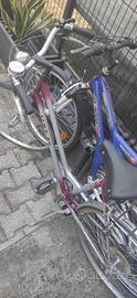 2 biciclette: Mountain Bike + city bike