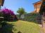 Immagine 11