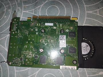 scheda grafica NVIDIA Quadro K2200