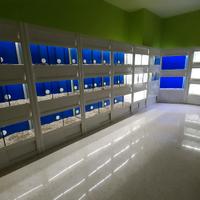 Batteria espositiva per animali/arredo negozio pet