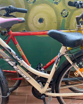Bici uomo e donna