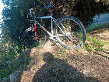 Bici miste