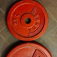 Pesi per palestra 